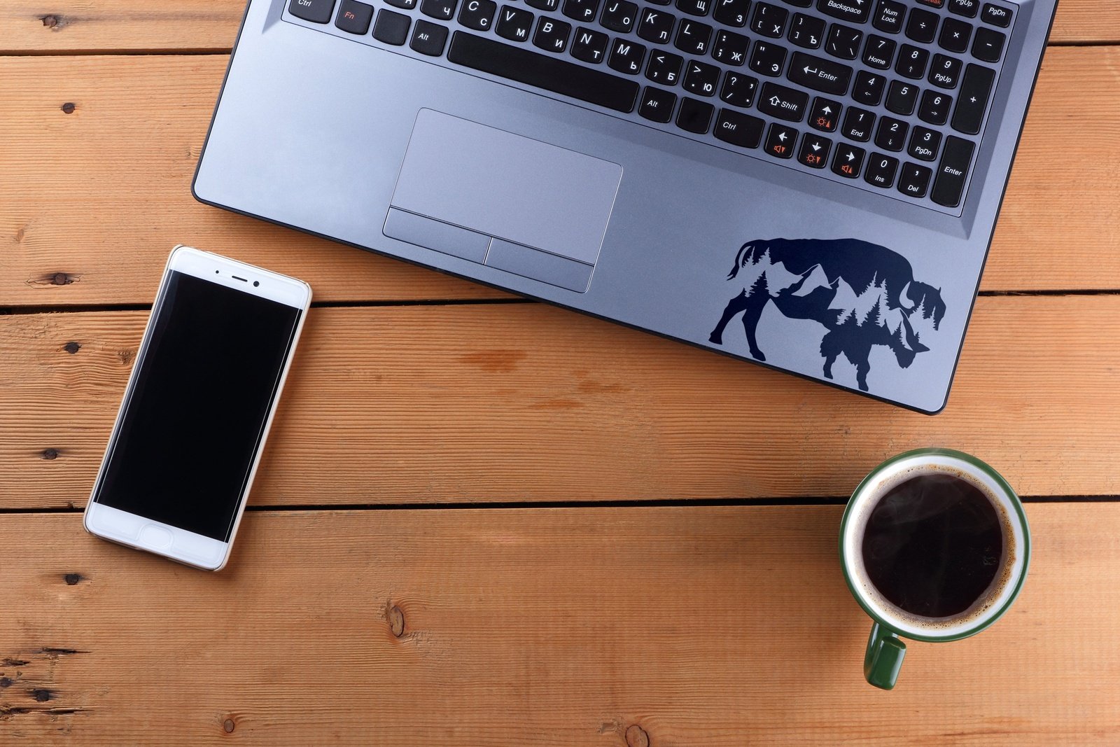 Mountain Buffalo Vinyl Decal | 128